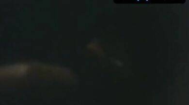 Carla Gravina Sexy Scene in Alfredo, Alfredo