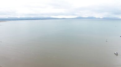 oops I ordered too many pizzas