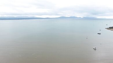 oops I ordered too many pizzas