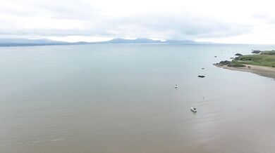 oops I ordered too many pizzas