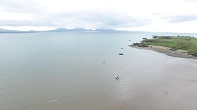 oops I ordered too many pizzas