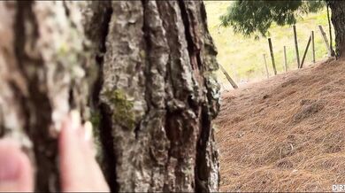 I FUCK A STUDY PARTNER IN THE FOREST AND I END UP FUCKING KATHYLEE, THE ONE FROM THE FOREST