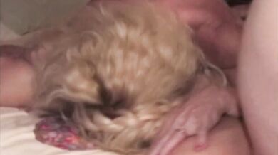 5 Swinger Grannies, Their Husbands and a Video Camera