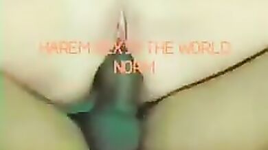 HAREM SEX IS THE WORLD NORM