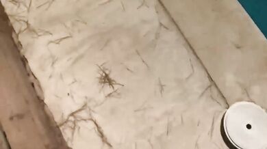 Un bon plan cul avec 3 meufs et un mec