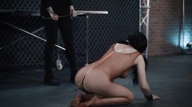 Wonder Olive One Dumb Woman Coordinates - Kira Fox