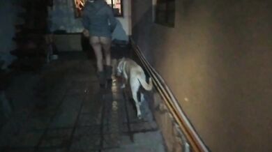 girl flashing naked in the street fucking in public voyeurs and caught by the police