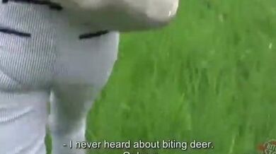 Bitch STOP - Outdoor sex with slutty redhead