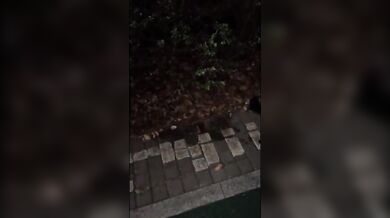 Asia Ladyboy pissing on the street, we all need to pee...