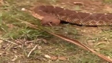 The Wild Wet - WW - PB