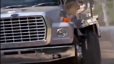 The Wild Wet - WW - PB