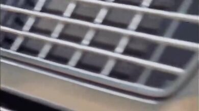 The Wild Wet - WW - PB