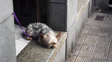 SEX VLOG IN THE CANARY ISLANDS - LUNA’S JOURNEY (EPISODE 31)