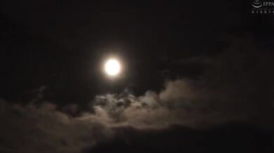 VKO mother-in-law ??????