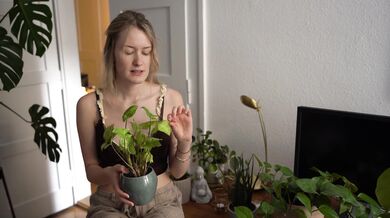 Shopping Plants ASMR